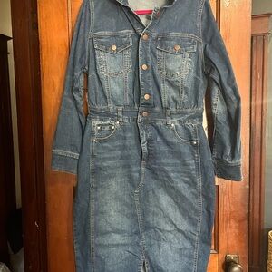 Universal Standard Denim Button-Front Dress in Light Blue